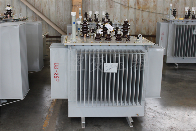 儋州S20-800kVA/10kV/0.4kV变压器